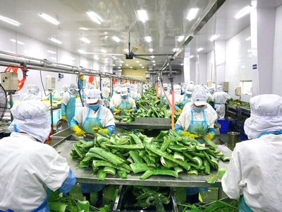 GC Food (GCF) đặt mục tiêu doanh thu đạt 523 tỷ đồng trong năm 2023