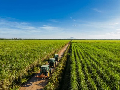 TTC AgriS hoàn thành hơn 83% kế hoạch doanh thu, lợi nhuận năm sau 3 quý, sản lượng vượt mốc triệu tấn