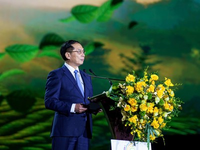 Phó Thủ tướng Chính phủ Bùi Thanh Sơn phát biểu chỉ đạo tại Lễ khai mạc