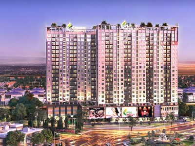 Cần tiền đầu tư, Đầu tư LDG chia hết cổ tức 25% bằng cổ phiếu