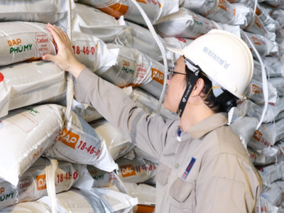 Khoảng 3.500 tấn DAP Phú Mỹ được đưa ra thị trường trong đầu tháng 12/2025.