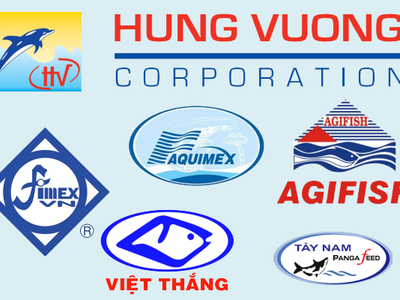 HVG dự chi 60 tỷ đồng để mua lại 5 triệu cổ phiếu quỹ