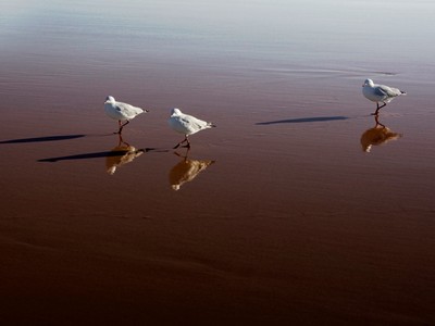 Sự kiện chứng khoán đáng chú ý ngày 29/4