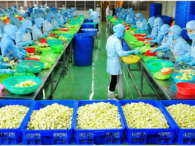 FIT không mua hết 10 triệu cổ phiếu TSC đăng ký mua