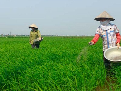 LAS dự kiến phát hành 35 triệu cổ phiếu thưởng