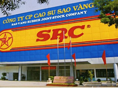 Doanh thu và lợi nhuận Cao su Sao Vàng giảm mạnh trong quý III