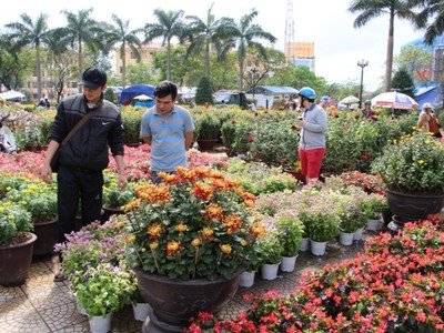 Chợ hoa Tết miền Trung nhộn nhịp