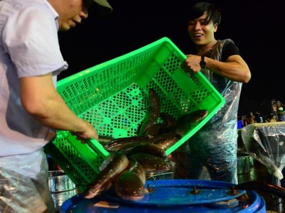 Chợ cá lóc lớn nhất Sài Gòn nhộn nhịp nhờ ngày vía Thần tài