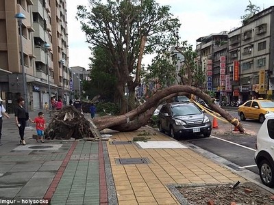 Những vụ thoát chết ngoạn mục