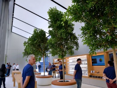 Cửa hàng mới sẽ có cây xanh, màn hình lớn và phòng họp. Ảnh: The Verge