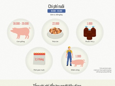 Nuôi heo 4 triệu bán 2 triệu đồng