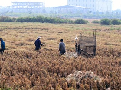 60 dự án tại 10 tỉnh thành sẽ bị Thanh tra Chính phủ thanh tra trong năm 2017. (ảnh Gia Huy)