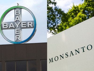 Ảnh minh họa. (Nguồn: Shutterstock)