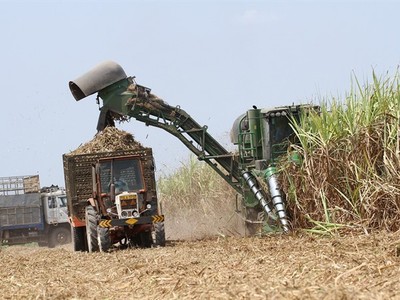 Mía đường Thành Thành Công Tây Ninh (SBT) dự kiến mua 83,5 triệu cổ phiếu quỹ   