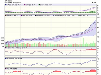 Biểu đồ kỹ thuật VN-Index. Nguồn: VCBS.