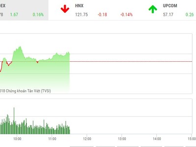 Phiên sáng 11/1: Bị chốt lời mạnh, VN-Index vẫn đứng vững