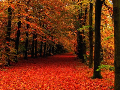 Thị trường tài chính 24h: Dòng tiền chưa có dấu hiệu “nghỉ ngơi”