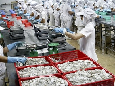 Thủy sản số 4 (TS4) bị phạt truy thu thuế hơn 15 tỷ đồng