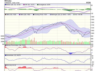 Biểu đồ kỹ thuật VN-Index. Nguồn: VCBS.