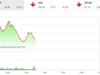 Phiên sáng 19/6: Áp lực bán mạnh chưa dừng, VN-Index lao xuống mốc 960 điểm