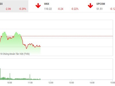 Phiên sáng 14/8: Thiếu sự đồng thuận, VN-Index yếu đà