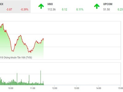 Phiên sáng 29/8: Áp lực bán gia tăng, VN-Index điều chỉnh