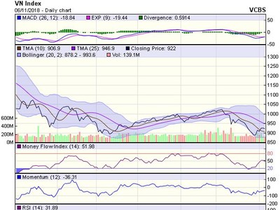 Biểu đồ kỹ thuật VN-Index. Nguồn: VCBS.