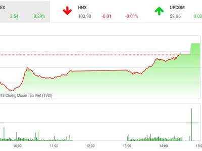 Phiên chiều 21/11: Đảo chiều ngoạn mục