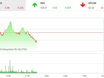 Phiên sáng 20/12: Dòng tiền dè dặt, thị trường chưa thể trở lại
