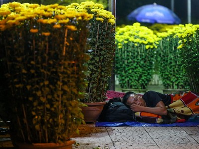 Dựng lều, mắc màn trông hoa Tết xuyên đêm trên vỉa hè Sài Gòn