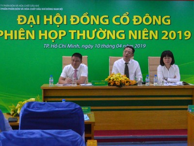 ĐHCĐ PSE: Năm 2019, Đạm Phú Mỹ vẫn là sản phẩm chủ lực chiếm tỷ trọng 63% tổng sản lượng