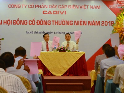 Năm 2019, Cadivi (CAV) chia cổ tức 50% bằng tiền mặt