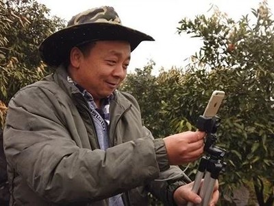 Zhong Haihui, một người nông dân trồng rau quả ở miền Trung Trung Quốc sử dụng iPhone 6, một chân tripod nhỏ và sạc dự phòng khi đang live-stream video tại vườn cam của mình. Ảnh: SCMP.