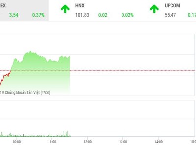 Phiên sáng 19/12: VN-Index hồi phục, nhóm cổ phiếu nhỏ tiếp tục bị chốt lời 