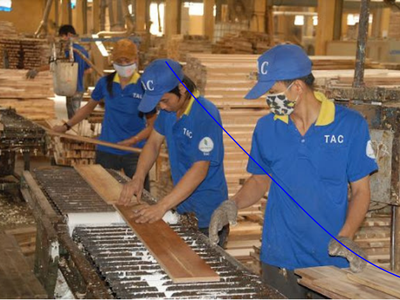 Chế biến Gỗ Thuận An (GTA) trả cổ tức năm 2019 bằng tiền mặt, tỷ lệ 12%