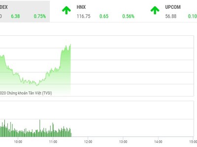 Giao dịch chứng khoán sáng 13/8: Nhóm cổ phiếu vừa và nhỏ vẫn hút dòng tiền