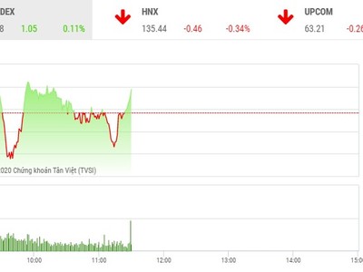 Giao dịch chứng khoán sáng 13/10: Nhóm cổ phiếu nhỏ vẫn hút dòng tiền