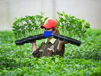 Nafoods (NAF) đạt tăng trưởng kép 9 tháng đầu năm