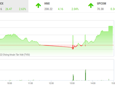 Giao dịch chứng khoán phiên chiều 29/11: Sắc tím lại nở rộ, VN-Index tiếp tục tăng mạnh