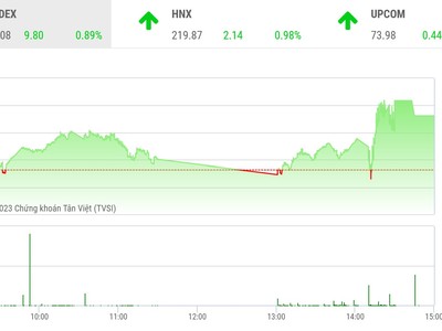 Giao dịch chứng khoán phiên chiều 19/1: Nhà đầu tư mạnh dạn hơn, thị trường tăng gần 10 điểm