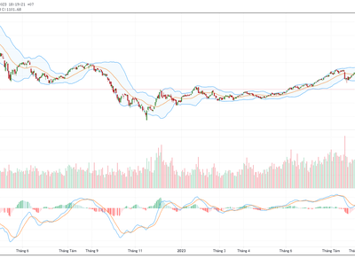 TMP: Ngày GDKHQ Tạm ứng cổ tức đợt 2 năm 2023 bằng tiền (26%)