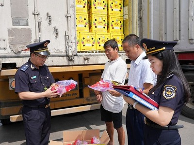 Phát hiện vi phạm trong lô hàng quá cảnh. Ảnh: CHQ.