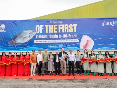 Nam Việt (ANV) xuất khẩu lô hàng đầu tiên sang Brazil - Bước tiến chiến lược của thủy sản Việt Nam