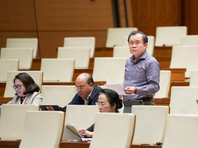 Đại biểu Nguyễn Tâm Hùng (TP.HCM).