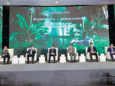 Các chuyên gia đánh giá, loạt chính sách mới về môi trường, kinh tế tuần hoàn và phân loại xanh đang tạo nền tảng quan trọng cho tăng trưởng xanh.