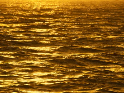 Giá vàng ngày 16/11: Giới đầu tư tìm tới vàng sau tin tức từ Paris