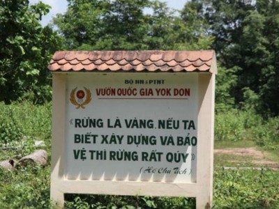 Đề nghị dừng chuyển đổi rừng để xây dựng thủy điện Đrăng Phốk