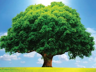 Đón đọc Đặc san Toàn cảnh Bảo hiểm Việt Nam 2017