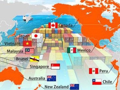 "Có thể nói ít hiệp định nào vất vả như CPTPP trong thực thi"