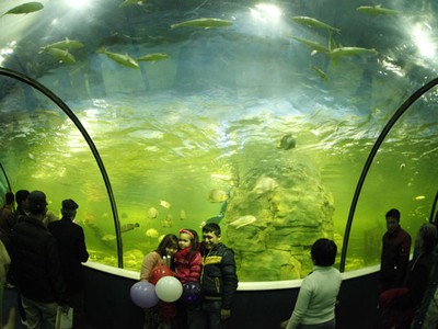 Thế giới kỳ thú trong lòng Hà Nội